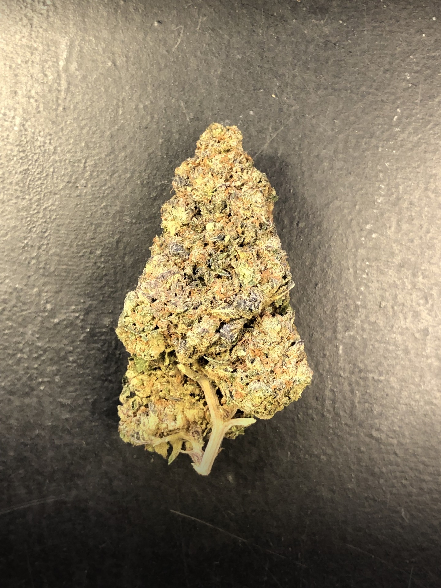 Flor Californian Orange sobre fondo SmokeKings